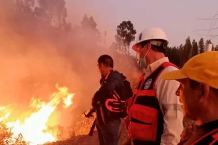 Incendios forestales que daaron ms de 40 hectreas en La Convencin fueron con