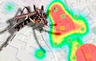 Dengue: Incremento de temperatura por cambio climtico favorece propagacin del zancudo