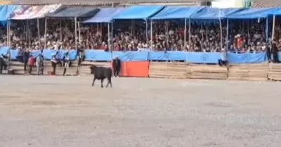 Huancayo: Toro embisti a un anciano provocndole la muerte en fiesta patronal