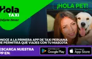 Hola Pet! Conoce a la primera app de taxi peruana que permitir que viajes con tu mascota