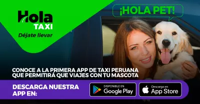 Hola Taxi, app peruana de viajes con mascota