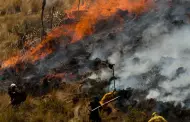 Apurmac: incendios forestales dejan un muerto y cuatro personas heridas de gravedad
