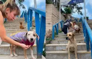 Beln Estvez enternece las redes tras alimentar a perritos abandonados: "Yo siempre estar para defenderlos"