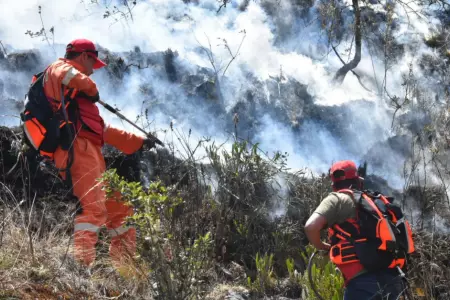 Aumentaron a cinco los fallecidos por incendio forestal en Apurmac.