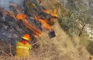 Cusco: Incendio forestal afect 20 hectreas de la zona de amortiguamiento en el distrito de Machu Picchu