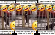 Sorprendente! Perrito usa sus habilidades para abrir una reja y usuarios enloquecen