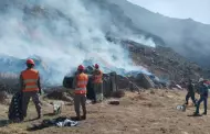 Incendio forestal en Arequipa: Siniestro contina azotando flora y fauna de Tuti, en Caylloma