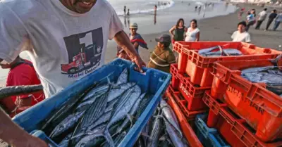 Gobierno oficializa pensin mnima para pesqueros