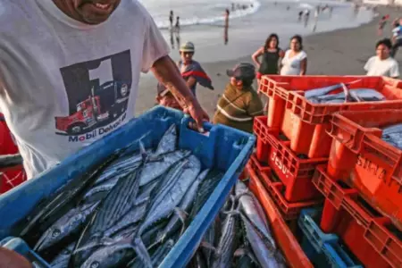 Gobierno oficializa pensin mnima para pesqueros