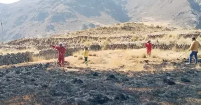 Incendio forestal en Amazonas: Brigadistas finalizan siniestro.