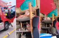 "Las excusas no existen cuando hay amor": Chofer conmueve al viajar con sus gatitos rescatados