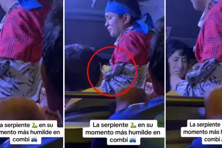 Hombre sorprende al subir a un bus con una serpiente.