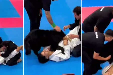 Perrito interrumpe batalla de jiu-jitsu para ayudar a su dueo.