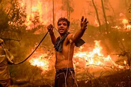 Incendios forestales en Grecia son "los ms grandes de la historia de la UE".