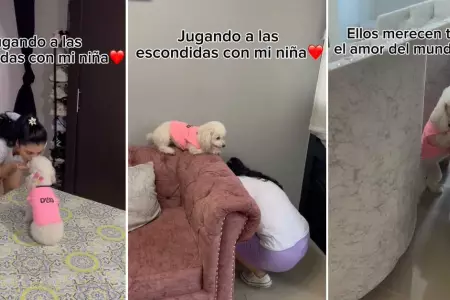 Perrita sorprende con su habilidad al jugar a las escondidas.