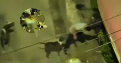 Venezolano utiliza a perro pitbull para robar a sus vctimas.