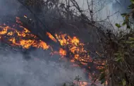 Incendio forestal en Olmos: Siniestro en anexo fue calificado como "incontrolable"