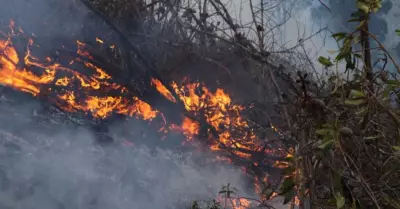Incendio forestal "incontrolable" en Olmos, segn jefe bomberil.
