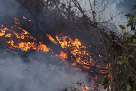 Incendio forestal "incontrolable" en Olmos, segn jefe bomberil.