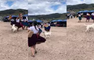 Perrito irrumpe show de baile folclrico y usuarios le aplauden: "Firulais es el coregrafo"