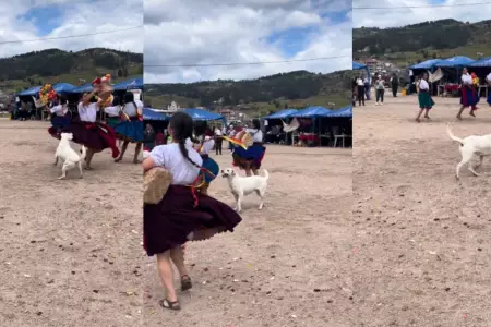 Perrito se vuelve el centro de atencin en una danza folklrica.