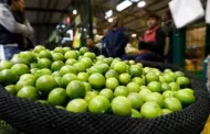 "El limón seguirá subiendo": Agricultores del cítrico desmienten al presidente del BCR, Julio Velarde