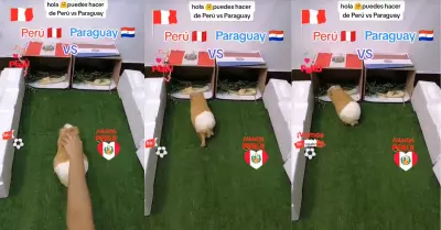 Cuy predice quin ser el ganador del Per vs. Paraguay.