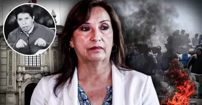 Presidenta de la Repblica, Dina Boluarte culp a expresidente Pedro Castillo.