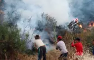 Preocupante! Ms de 40 incendios forestales se registraron en lo que va del ao en Ayacucho