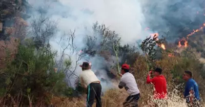 Ms de 40 incendios forestales se han registrado en Ayacucho en lo que va del a