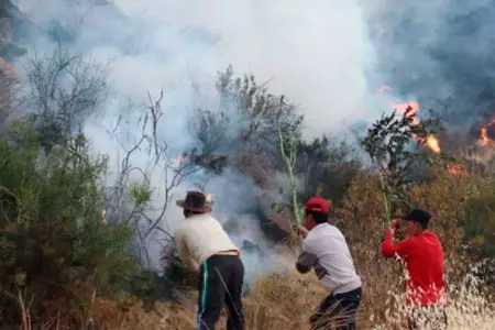 Ms de 40 incendios forestales se han registrado en Ayacucho en lo que va del a