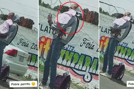 Mujer cubre a su perrito como un beb para pedir dinero.