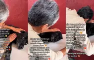 Puedes verlo sin llorar? Anciana se despide de su perro tras 12 aos de compaa: "Perdname"