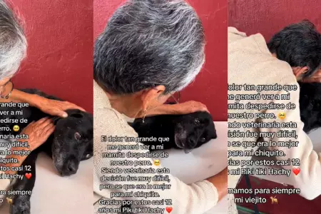 Anciana se despide de su perro