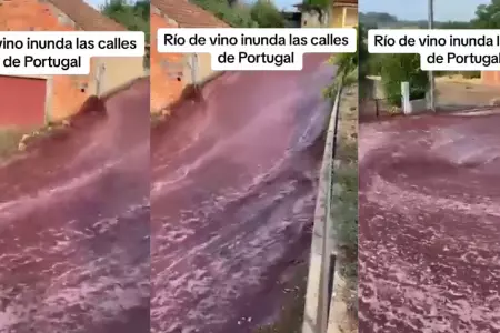 Río de vino en pueblo de Portugal