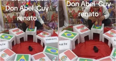 Prediccin del cuy Renato sobre el Per vs Brasil