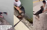 (VIDEO) "Te seré fiel hasta que muera": Jóvenes salvan de ahogarse a perrito y can les agradece con mordidas