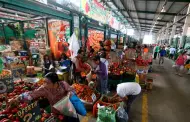 Precio del limn: Cul es el costo del kilo del ctrico en el Gran Mercado Mayorista de Lima?