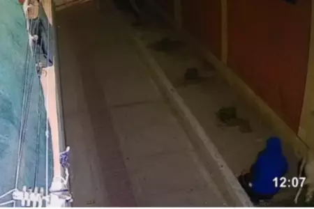 Dueo abandon a su perro fuera de un colegio en San Miguel.