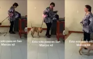 "Pet friendly": Catedrtica caus sensacin en TikTok al llevar a su perro a dictar clases