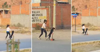 Perrito juega sobre scooter y al lado de su hermana humana.