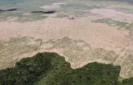 Preocupantes nmeros: Per y otros pases perdieron 1 milln de hectreas de agua en la Amazona
