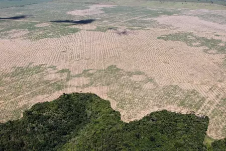 Amazona en el Per ha perdido un milln de hectreas de agua.