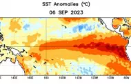 Fenmeno El Nio: aumenta a 71% la probabilidad de un evento fuerte en verano del 2024
