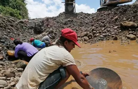 Condenan a ocho aos de prisin a mineros ilegales en Madre de Dios.