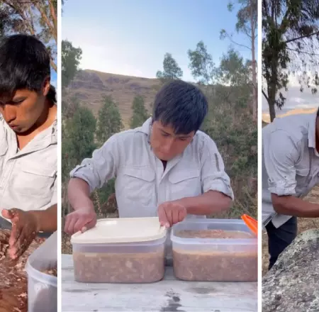 Joven prepara queso de cerdo en Cusco.