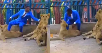Pastor nigeriano demuestra su fe al entrar a jaula con leones.