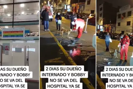 Perrito enternece al esperar a que su dueo salga del hospital.