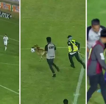 Perrito invade cancha de fútbol.