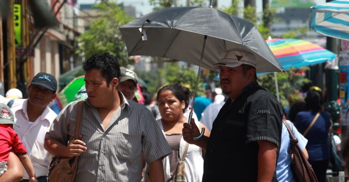 Senamhi: Selva sur presentarán temperaturas récord en los próximos días, ¿Qué regiones se verán afectadas?